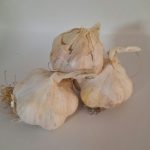 سیر همدان