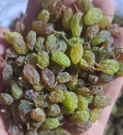کشمش سبزآجیلی(محلی)