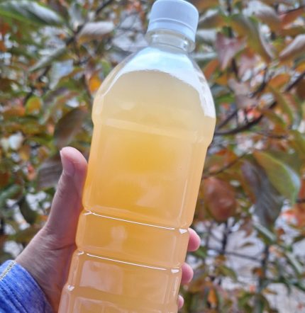 سرکه سیب خانگی